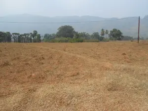 A large piece of barren sandy land for land acquisition with trees and rubles in the distance.