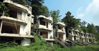 The image shows a haunting row of hillside homes left unfinished — a powerful representation of abandoned housing. The once-modern structures now stand weathered and empty, their walls stained and windows missing. Vines and overgrown plants creep up the stairways and facades, reclaiming the buildings inch by inch. Surrounded by dense greenery and a bright blue sky, this abandoned housing project highlights the stark contrast between human neglect and nature’s persistence, symbolizing wasted potential and forgotten dreams.